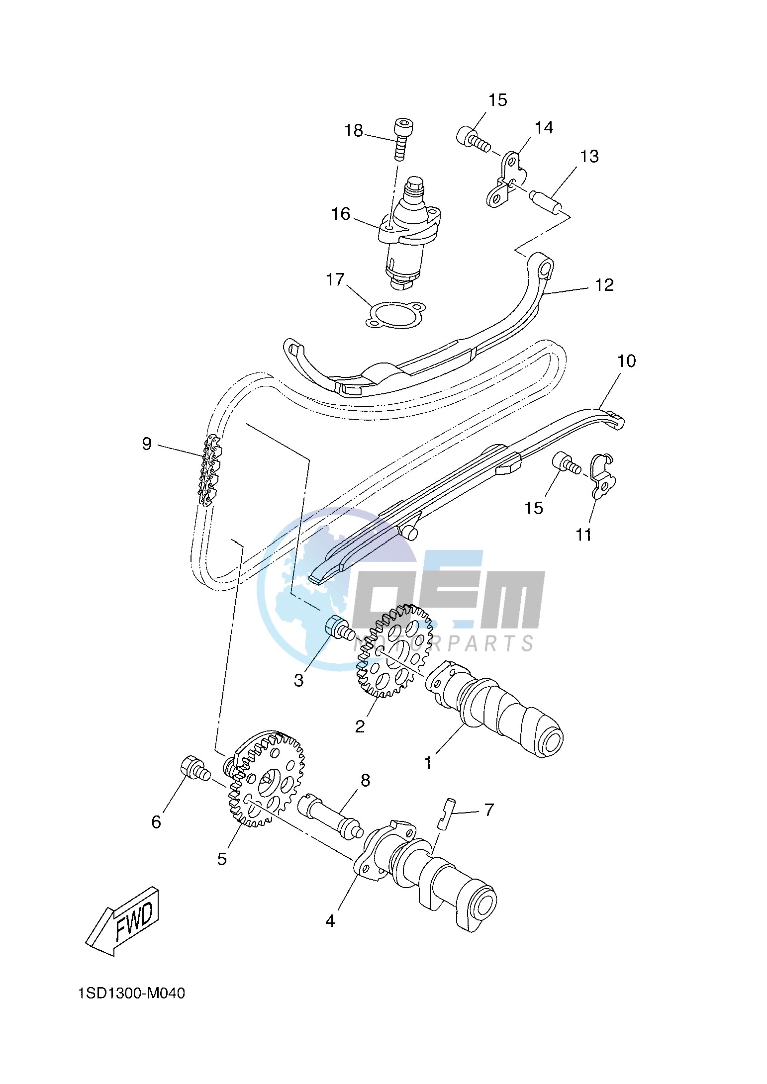 CAMSHAFT & CHAIN