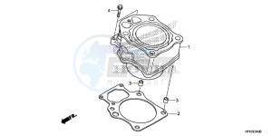 TRX420TMD TRX420 Europe Direct - (ED) drawing CYLINDER