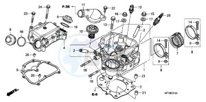 TRX420FAC drawing CYLINDER HEAD