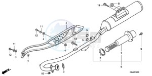 CRF100F9 Europe Direct - (ED / CMF) drawing EXHAUST MUFFLER