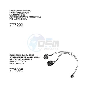 FIGHT 3 E 4T drawing PLUG WIRING HARNESS