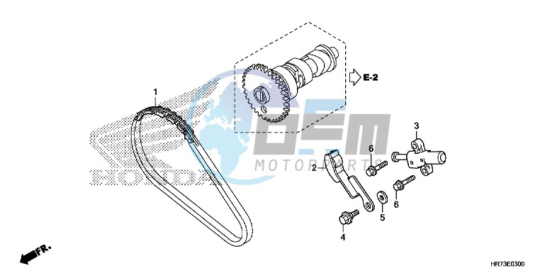 CAM CHAIN/TENSIONER