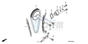 CBF125MB drawing CAM CHAIN/ TENSIONER