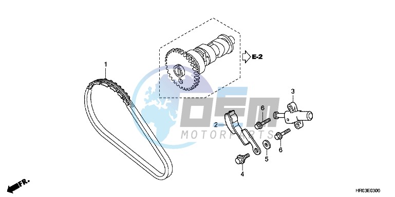 CAM CHAIN/ TENSIONER