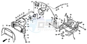 CN250 drawing RADIATOR