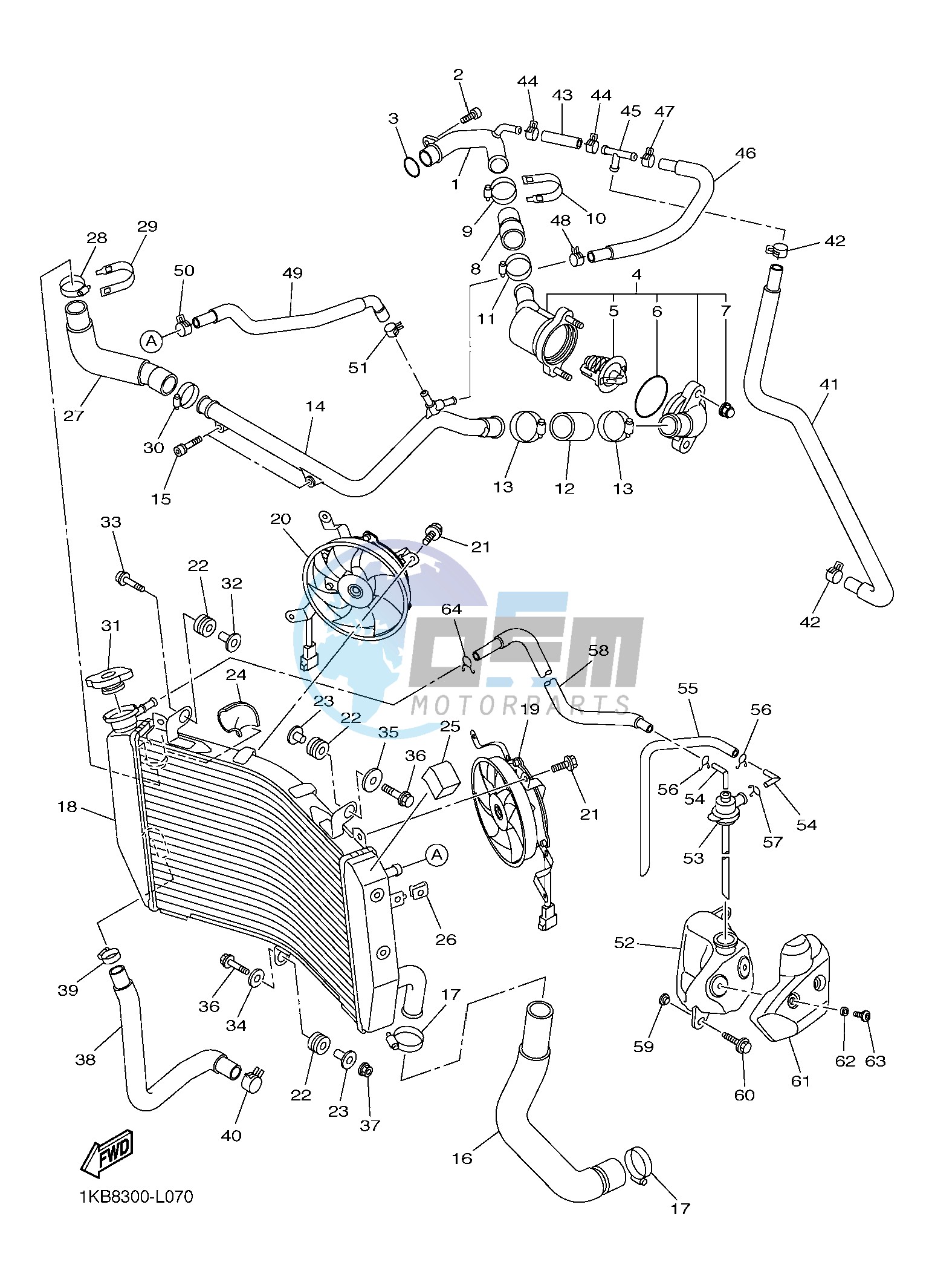 RADIATOR & HOSE