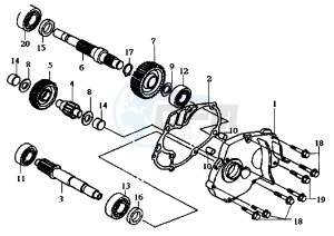 SUPER DUKE - 150 cc drawing GEAR GROUP