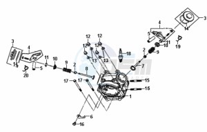 FIDDLE II 50 NEW ENGINE drawing CYLINDER HEAD CPL.