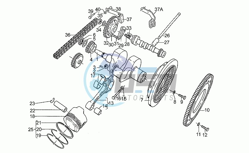 Drive shaft