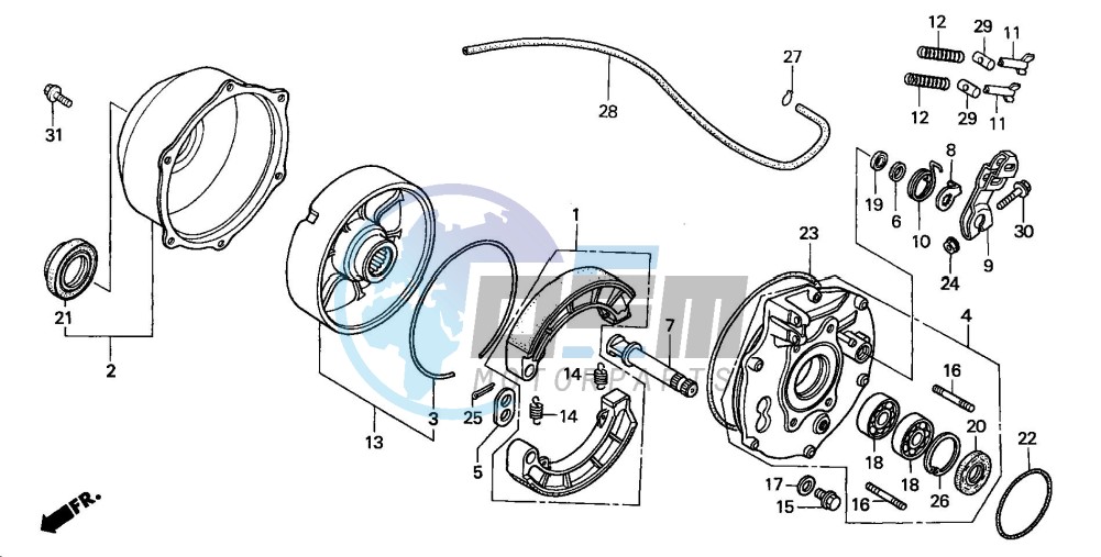 REAR BRAKE PANEL