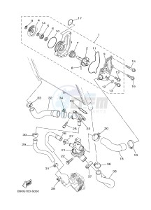 MTN850 MTN-850-A MT-09 ABS (BS29) drawing WATER PUMP