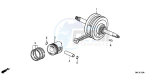 CRF50FD CRF50F Europe Direct - (ED) drawing CRANKSHAFT/PISTON