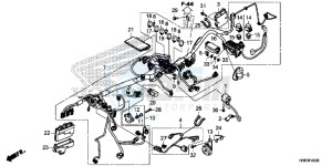 TRX500FA7G TRX500 Europe Direct - (ED) drawing WIRE HARNESS