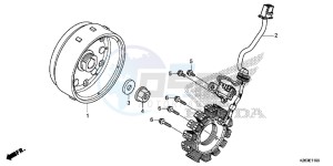 MSX125E MSX125 UK - (E) drawing GENERATOR/ FLYWHEEL