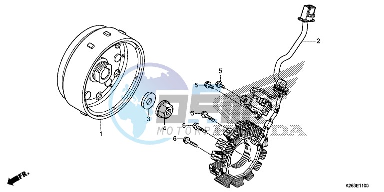 GENERATOR/ FLYWHEEL