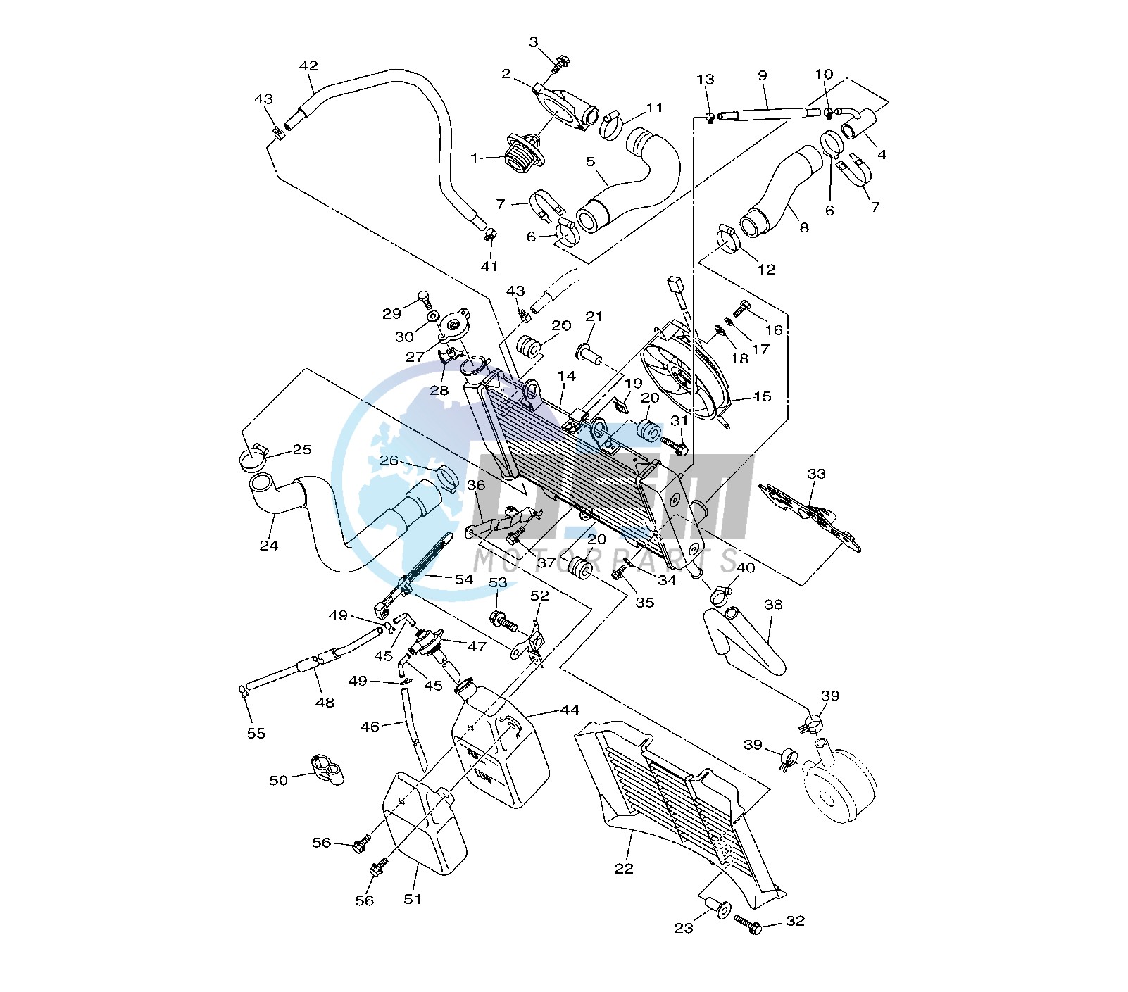 RADIATOR AND HOSE