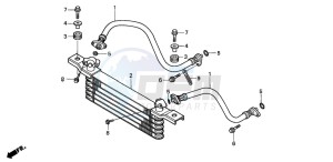 TRX350TM RANCHER drawing OIL COOLER