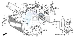 CBF1000S9 Europe Direct - (ED) drawing RADIATOR