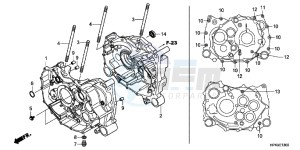 TRX420TMC drawing CRANKCASE