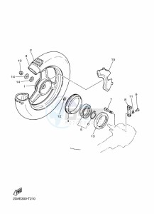 PW50 (2SAL) drawing REAR WHEEL