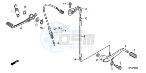 CBR1000RR9 KO / HRC MK drawing PEDAL