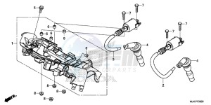 CB500F Europe Direct - (ED) drawing IGNITION COIL