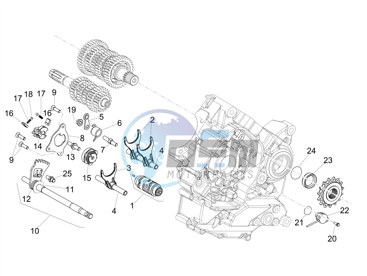 Gear box / Selector / Shift cam