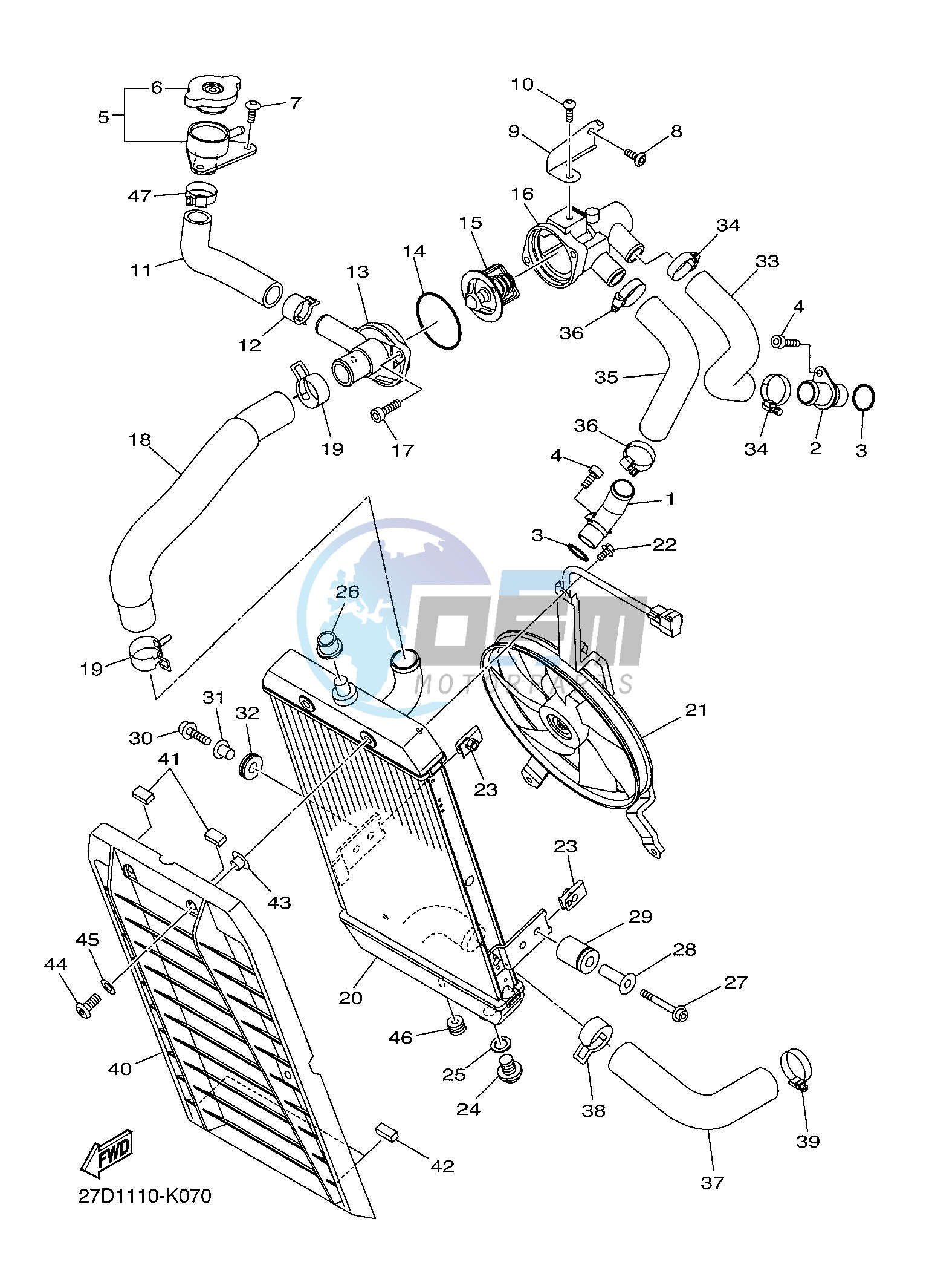 RADIATOR & HOSE