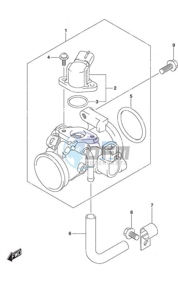 Throttle Body Non-Remote Control