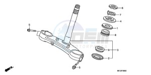 CBR600RA9 Korea - (KO / ABS MK) drawing STEERING STEM