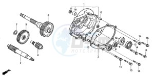 SES125 drawing TRANSMISSION