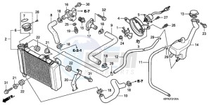 CBR125RW9 France - (F / CMF WH) drawing RADIATOR (CBR125RW7/RW9/RWA)