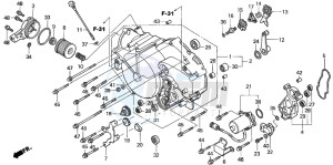 TRX350TM FOURTRAX drawing FRONT CRANKCASE COVER (TRX350TE/FE)