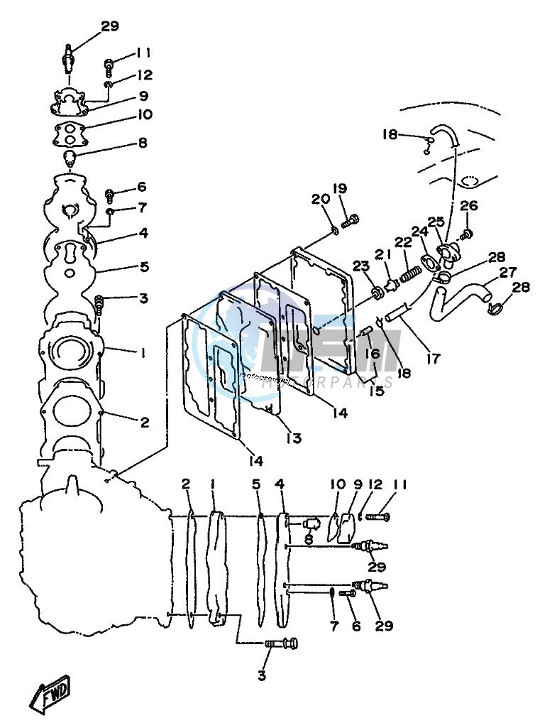 CYLINDER--CRANKCASE-2