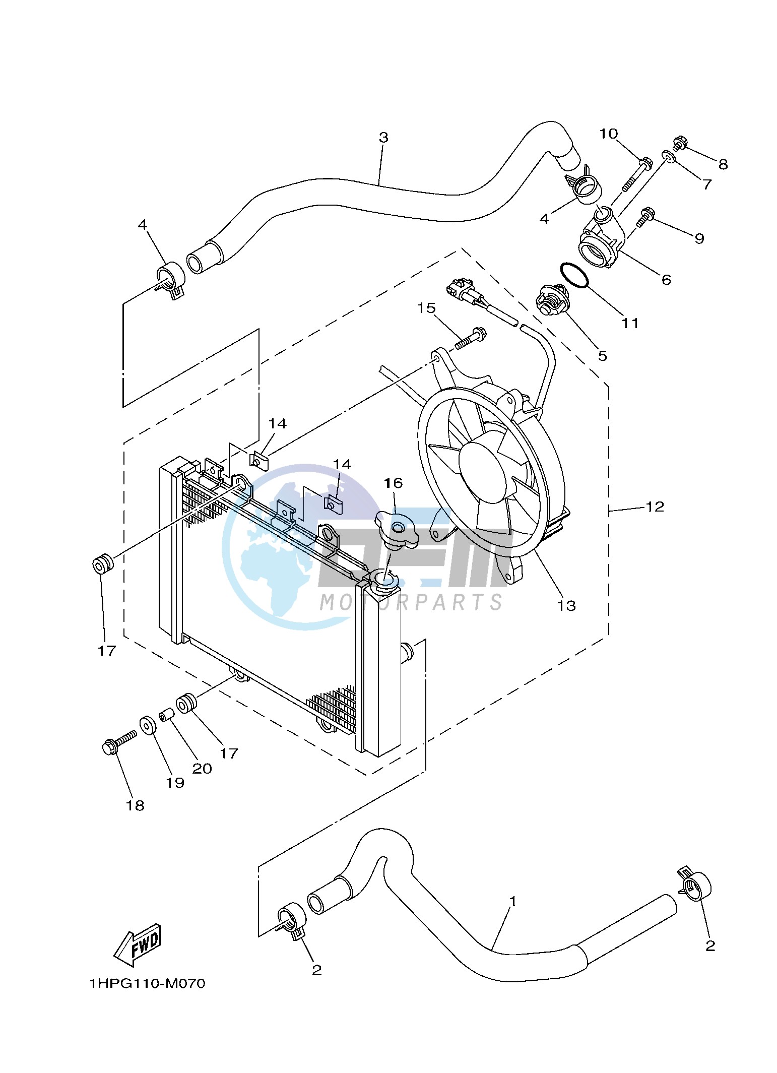 RADIATOR & HOSE