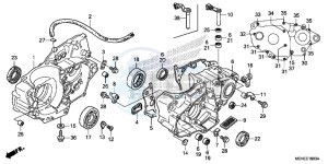 CRF450RE CRF450R Europe Direct - (ED) drawing CRANKCASE