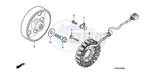 CBF1000SA France - (F / ABS CMF) drawing GENERATOR