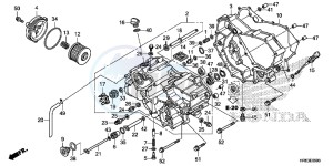 TRX500FA6G TRX500FA Australia - (U) drawing FRONT CRANKCASE COVER