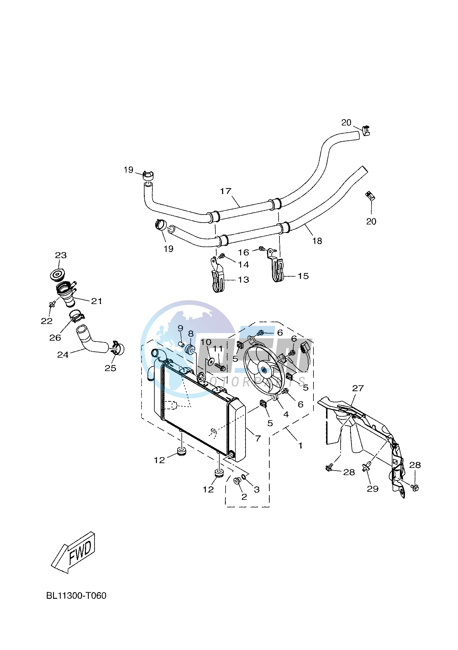 RADIATOR & HOSE