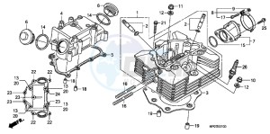 TRX500FPEB drawing CYLINDER HEAD