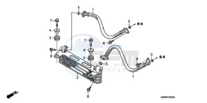 TRX250X9 Australia - (U) drawing OIL COOLER