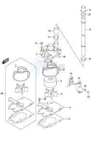 DF 250 drawing Water Pump DF 250S