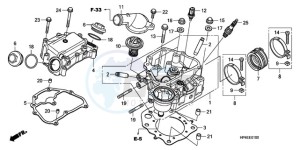 TRX420TMA Australia - (U / 2WD) drawing CYLINDER HEAD