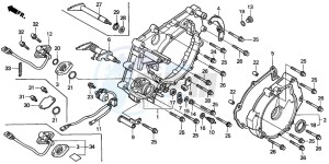 TRX350TM RANCHER S drawing REAR CRANKCASE COVER