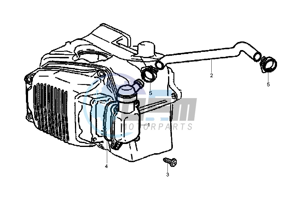 Oil drain valve