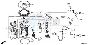 TRX500FM6H Europe Direct - (ED) drawing FUEL PUMP