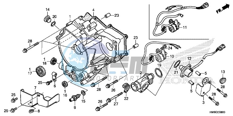 REAR CRANKCASE COVER