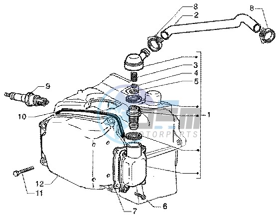 Oil drain valve