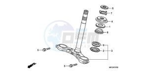 CB600F3A Europe Direct - (ED / ST) drawing STEERING STEM