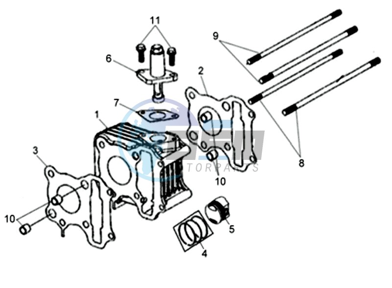 CYLINDER / GASKETS